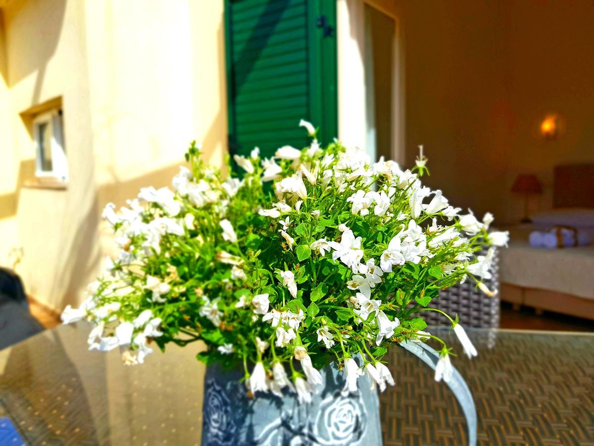 Medulic Palace Rooms & Apartments ชิเบนิก ภายนอก รูปภาพ
